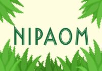 Nipaom Font - Featured Image