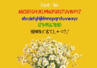 Nn Font - Featured Image