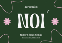 Noi Modern Sans Display Font - Featured Image