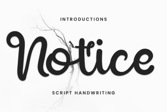 Notice Font - Featured Image