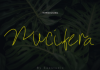 Nucifera Font - Featured Image