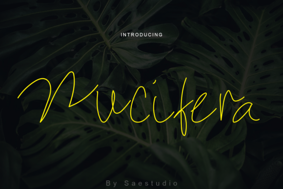 Nucifera Font - Featured Image