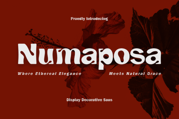 Numaposa Font - Featured Image