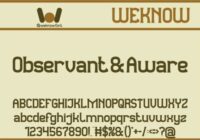 Observant and Aware Font - Featured Image