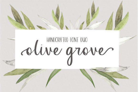 Olive Grove Font - Featured Image