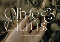 Olive & Citrus Font - Featured Image