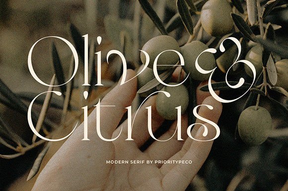Olive & Citrus Font - Featured Image
