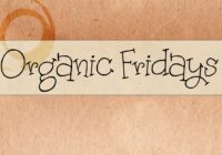 Organic Fridays Font - Featured Image