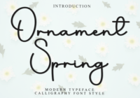 Ornament Spring Font - Featured Image