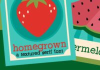 PN Homegrown Font - Featured Image