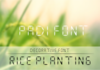 Padi Font - Featured Image