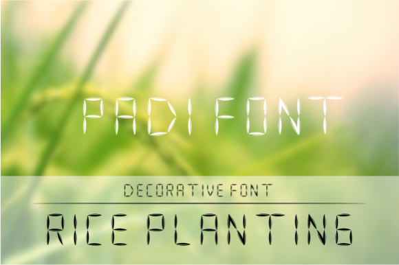 Padi Font - Featured Image