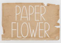 Paper Flower Font - Featured Image