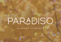 Paradiso Font - Featured Image