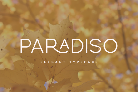 Paradiso Font - Featured Image