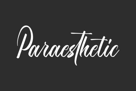 Paraesthetic Font - Featured Image