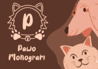 Pawo Monogram Font - Featured Image