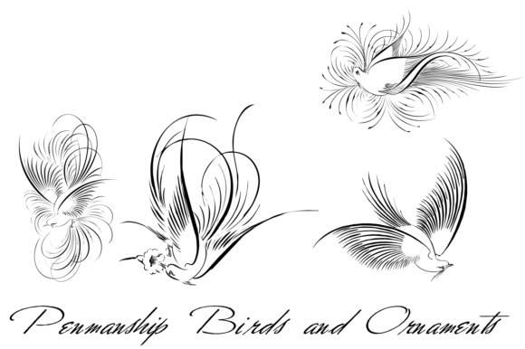 Penmanship Birds and Ornaments Font - Featured Image