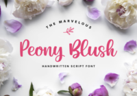 Peony Blush Font - Featured Image