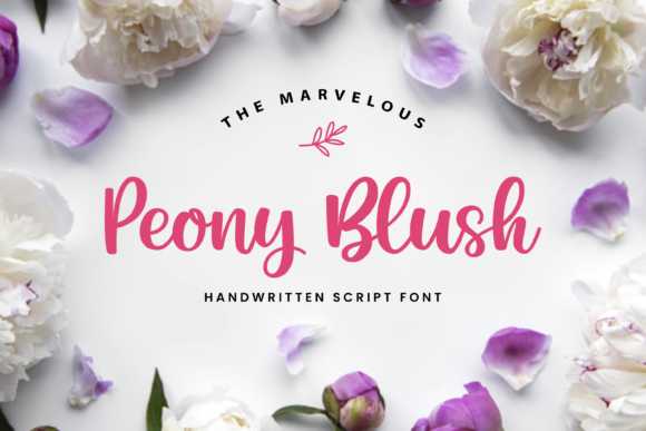 Peony Blush Font - Featured Image