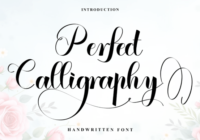Perfect Calligraphy Font - Featured Image