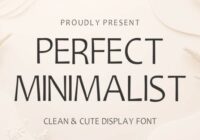 Perfect Minimalist Font - Featured Image