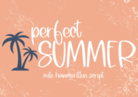 Perfect Summer Font - Featured Image