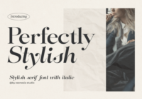 Perfectly Stylish Font - Featured Image