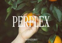 Perplex Font - Featured Image