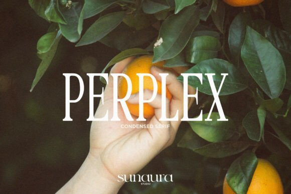 Perplex Font - Featured Image