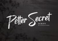 Petter Secret Font - Featured Image