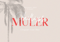 Phillips Muler Font - Featured Image