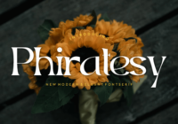 Phiratesy Font - Featured Image