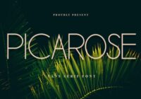 Picarose Font - Featured Image