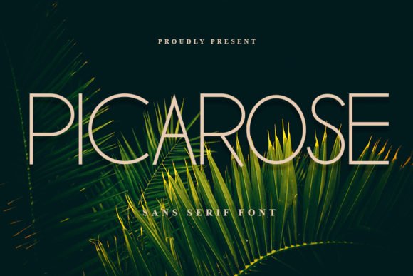 Picarose Font - Featured Image