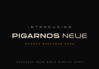 Pigarnos Neue Font - Featured Image