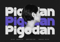 Pigodan Font - Featured Image