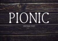 Pionic Font - Featured Image