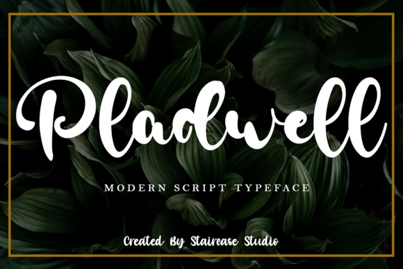 Pladwell Font - Featured Image