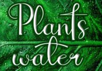 Plantswater Font - Featured Image