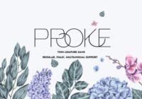 Proke Font - Featured Image