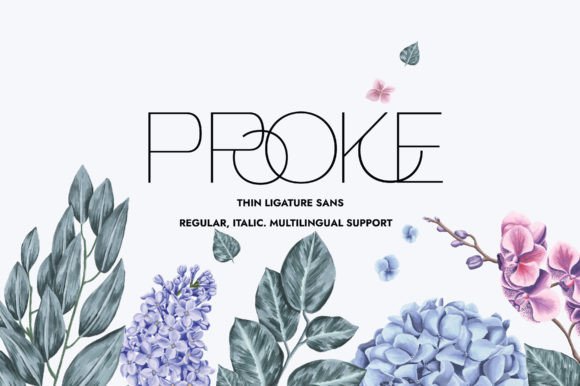 Proke Font - Featured Image