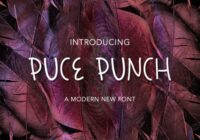 Puce Punch Font - Featured Image