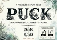 Puck Font - Featured Image