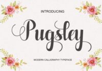 Pugsley Font - Featured Image