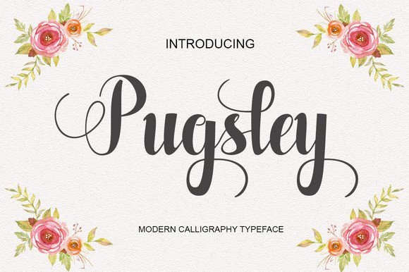 Pugsley Font - Featured Image
