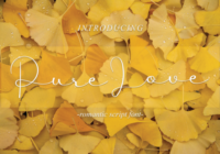 Pure Love Font - Featured Image