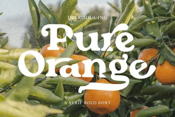 Pure Orange Font - Featured Image