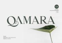 Qamara Font - Featured Image