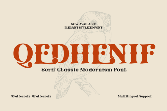 Qedhenif Font - Featured Image